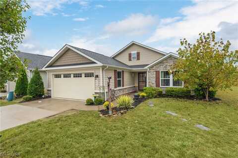369 Pebble Creek Court, Amherst, OH 44001