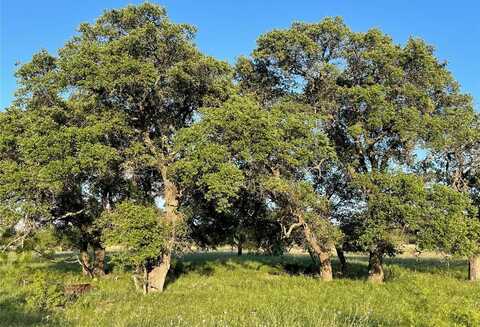 Tbd CR 213, Goldthwaite, TX 76844