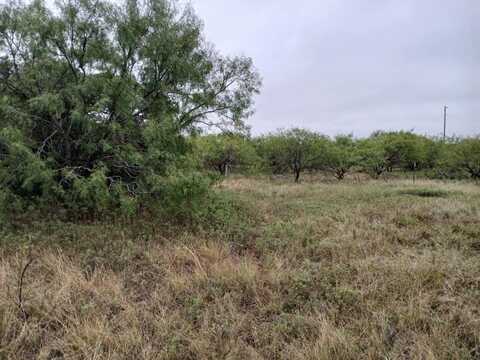 Tbd CR 419, Coleman, TX 76834