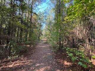 1807 N. Sapa Rd, Eupora, MS 39744