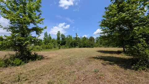 0 Beaver Pond Road, Luverne, AL 36049