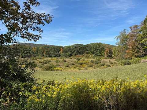 L13.08 Co Hwy 35, Cooperstown, NY 13326