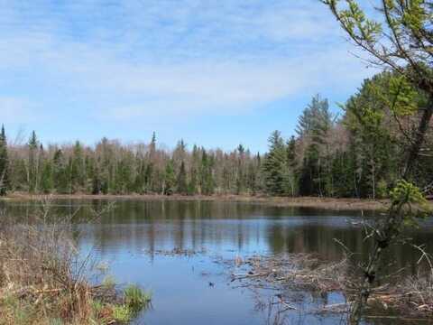 8083 Moose River Rd, Port Leyden, NY 13433