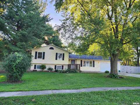 218 & 216 N CHURCH Street, Mechanicsburg, IL 62545