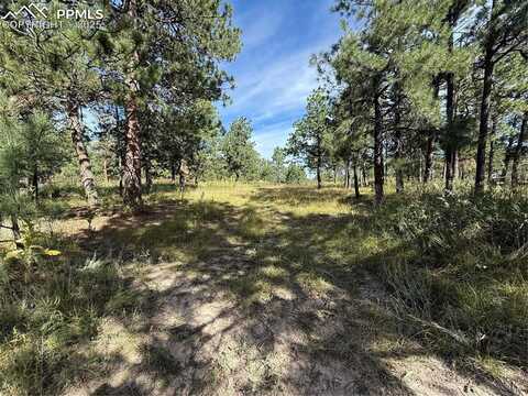 17405 E Goshawk Road, Colorado Springs, CO 80908