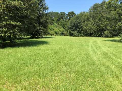 6871 Highway 11 North, Carriere, MS 39426