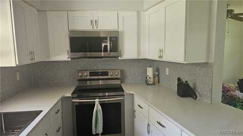 9306 N Santos Drive, Citrus Springs, FL 34434