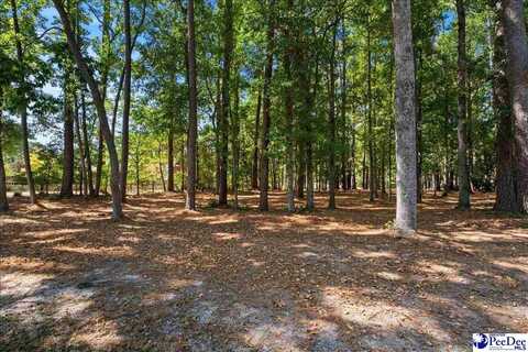 TBD Cypress Bend Road, Florence, SC 29506