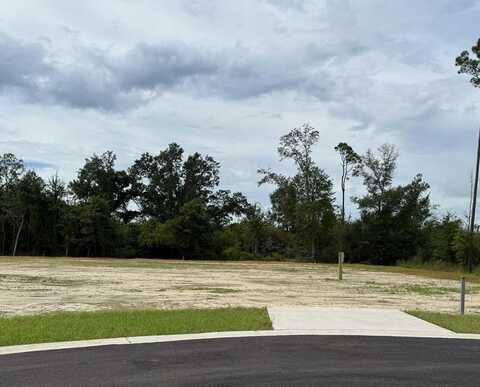 17 Kiera Ct, Wewahitchka, FL 32465