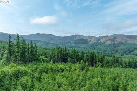 220 WAGNER RD, Kelso, WA 98626