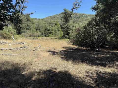 5909 Forest Meadow Road unit: 0, Julian, CA 92036