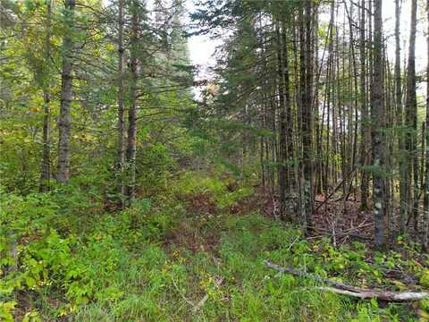 13450 S Swedish Highway, Dairyland, WI 54830