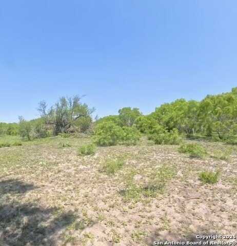 Lot 3 0 CR 197, Falls City, TX 78113