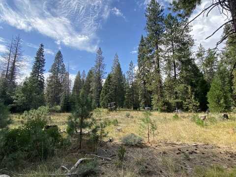 1-M-12 Sisson Dr, McCloud, CA 96057