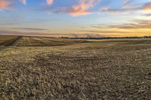 Xxx S Andrus Rd, Cheney, WA 99004