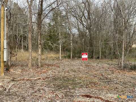 1310 Cypress Trail Loop, Milam, TX 76567