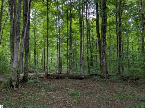 00 Cinco Drive, Kalkaska, MI 49646