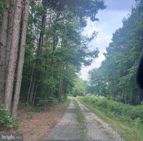 29028 BLACK PEPPER LANE, GEORGETOWN, DE 19947