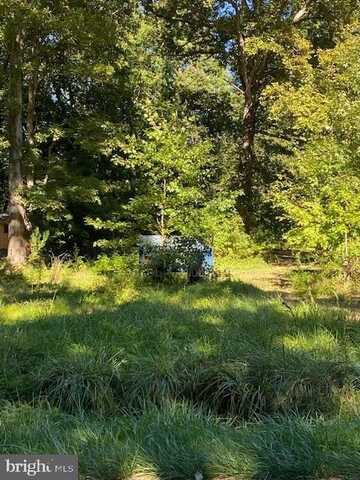 0 FOREST ROAD, MILTON, DE 19968