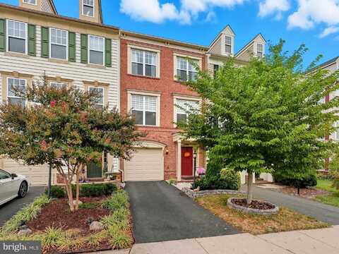 43258 TUMBLETREE TERRACE, BROADLANDS, VA 20148
