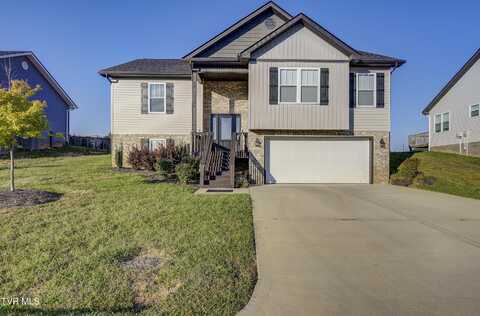 1350 Lemongrass Drive, Jonesborough, TN 37659