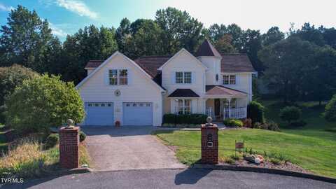 130 Hillview Court, Gray, TN 37615