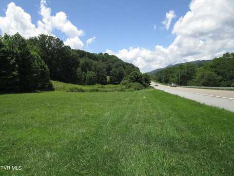 8876 Highway 19 E, Roan Mountain, TN 37687