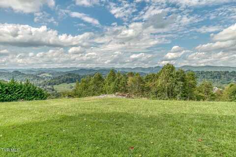 166 Parker Lane, Kingsport, TN 37660
