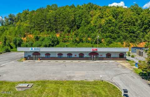 3825 S Highway 66, Rogersville, TN 37857