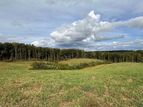20 ac Billy Ridge Rd, Jamestown, TN 38556