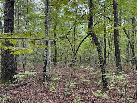 Lot 5 White Oak Rd., MONTEREY, TN 38574