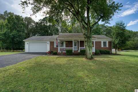 228 Loretta Dr, Ledbetter, KY 42082