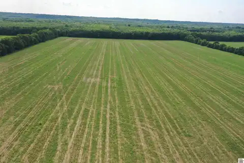 0 Dogtown Road, Benton, KY 42025
