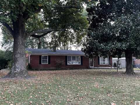 195 state route 58 E, Clinton, KY 42031
