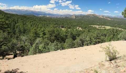1012 17th Trail, Texas Creek, CO 81223