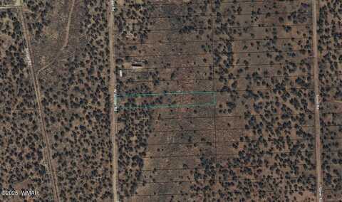 4141 W Juniper Road, Snowflake, AZ 85937