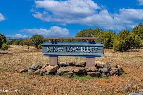 741 S Rockcreek Drive, Show Low, AZ 85901