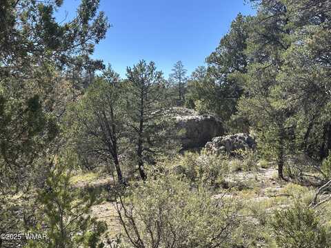 3673 Pine Rim Drive, Overgaard, AZ 85933