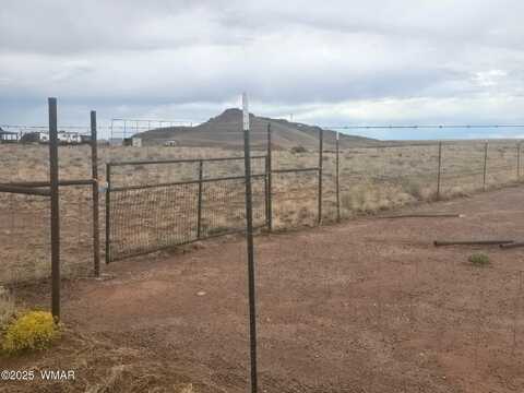 8000 E McDonald Lane, Woodruff, AZ 85942