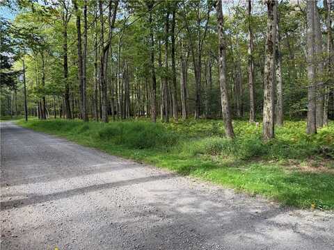 Lots 211 & 212 Alpine Rd, Jenner Twp, PA 15546