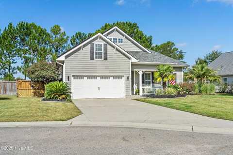 249 Palm Grove Drive, Wilmington, NC 28411