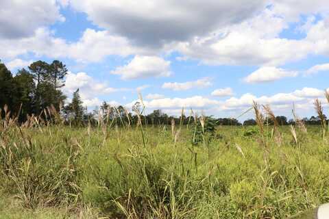 Tbd John Nunn Highway, Salley, SC 29137