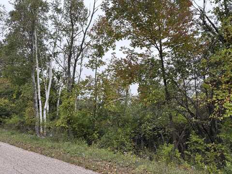 V/L 40+-AC Quade Highway, Rogers City, MI 49779