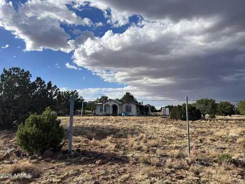 9058 E PINTO Trail, Show Low, AZ 85901