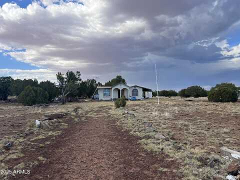 9058 E PINTO Trail, Show Low, AZ 85901