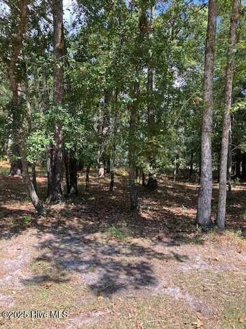 471 Shiloh Lane SE, Bolivia, NC 28422