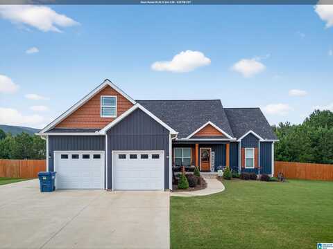 143 FREEDOM WAY, ANNISTON, AL 36207