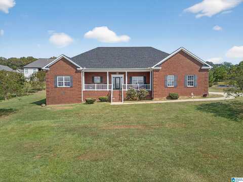 450 EASTLAND HILLS DRIVE, LINCOLN, AL 35096
