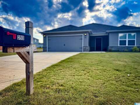 390 ANTLER WAY, LINCOLN, AL 35096