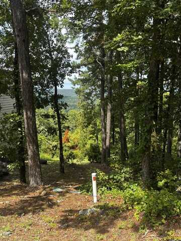 142 E Villena Drive, Hot Springs Village, AR 71909